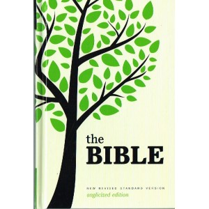 NRSV The Bible Anglicized edition